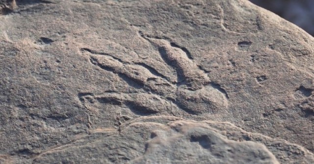 Слід динозавра, виявлений на пляжі Бендрікс-Бей, Велика Британія