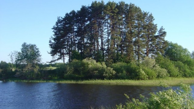 Ріннюкалнс на березі річки Салаци у Латвії - відома стоянка прадавніх людей