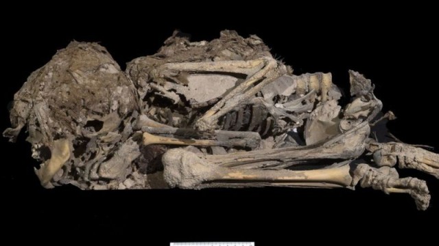 Ще одна знахідка - мумифікований скелет дитини. За оцінками вчених, йому 6 тис. років