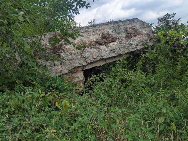 Залишки палацу Олізарів